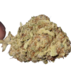 Berry White | Indica