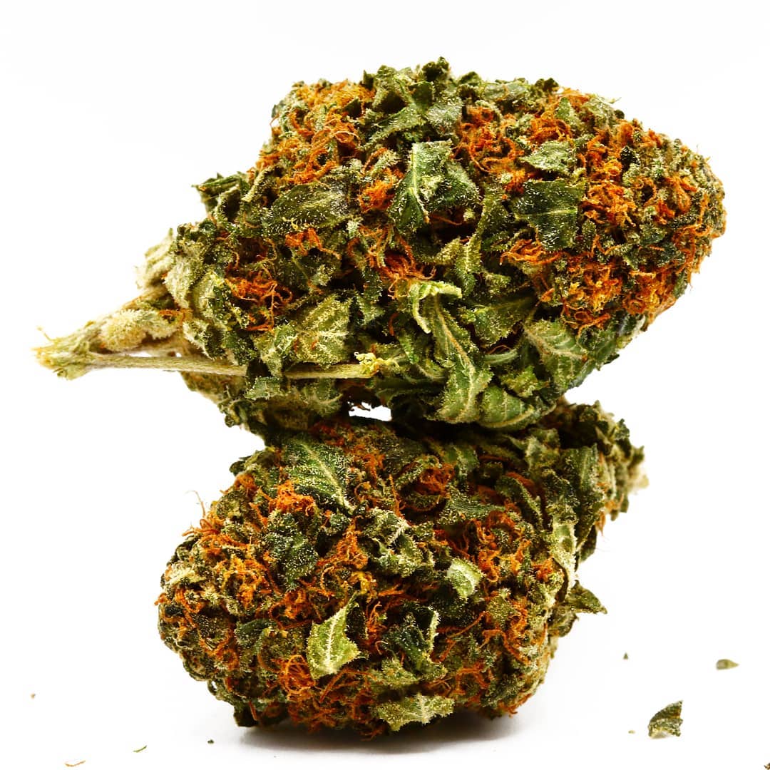 G13 Strain | Indica Strain - Image 2