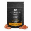 FloraCal Hybrid Live Rosin Tropical Punch Gummies