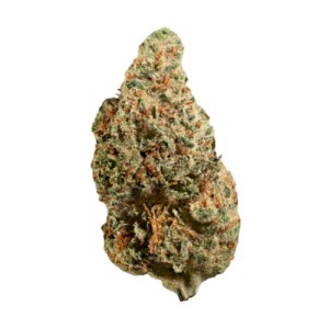 Cinnamon Milk Flower